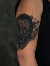 Eine Schildkr&ouml;ten Tattoo als Cover-up. Von Roman Schurr aus N&uuml;rnberg